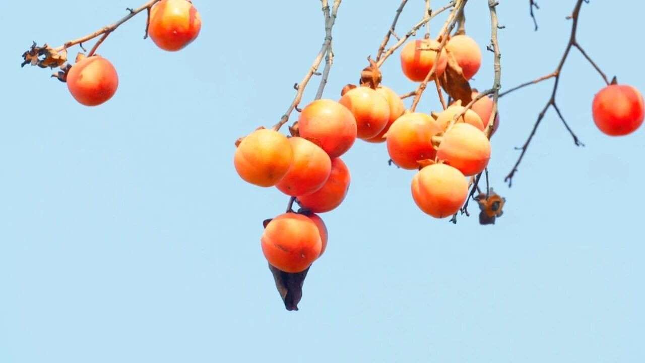 微信图片_2025-10-20_112543_749.jpg